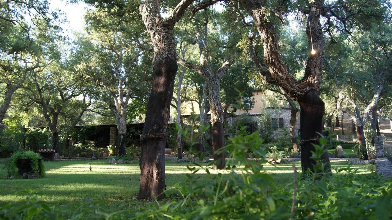Le Sughere Padru Exterior foto
